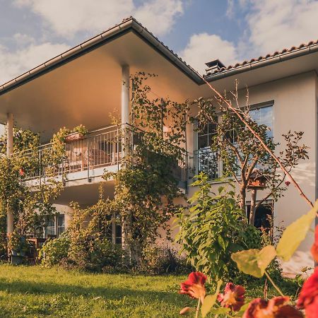 Coraline -Koblach, 6-10 P, 3 Schlafzimmer, Kueche, Riesige Terrasse, Parkplatz, Wifi, Stellplatz Ski Екстериор снимка